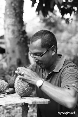 Lanchang Durian