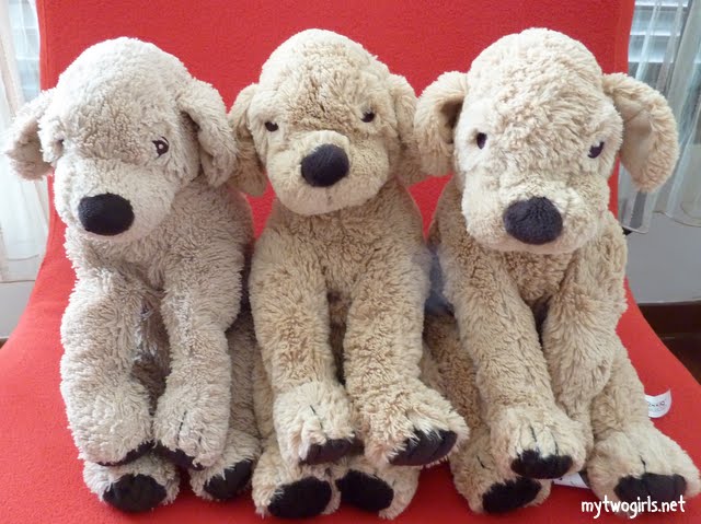 From Left to Right : Fifi, Flower, Daisy