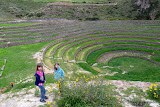 Moray is so visually striking.