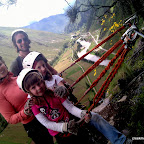 I think Lily is just annoyed that we made her do pictures.  She would rather climb.
