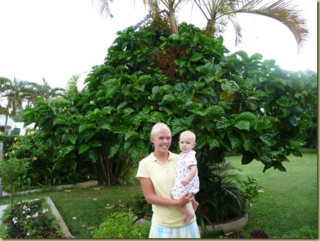 Michelle and her niece in front of their noni tree