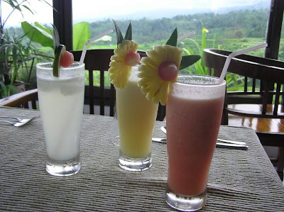 bali_ray (92).jpg