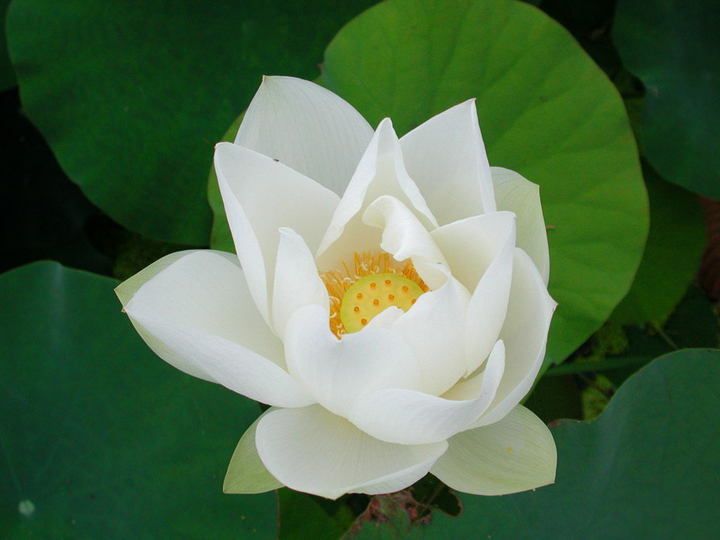 2759873_313.jpg