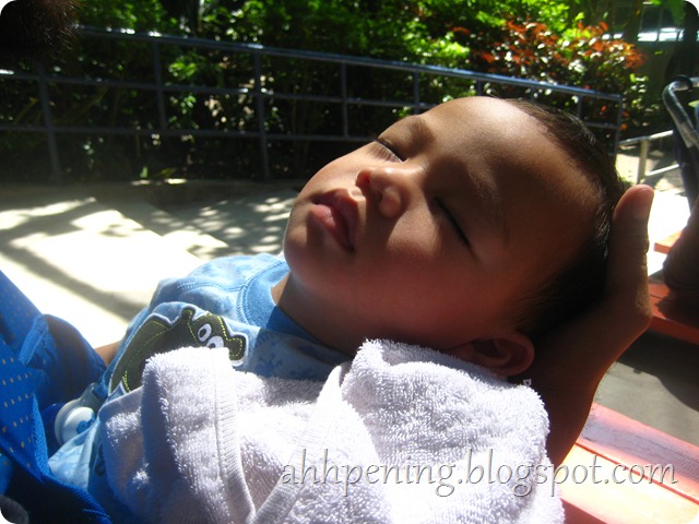 IMG_0047 IMG_0047