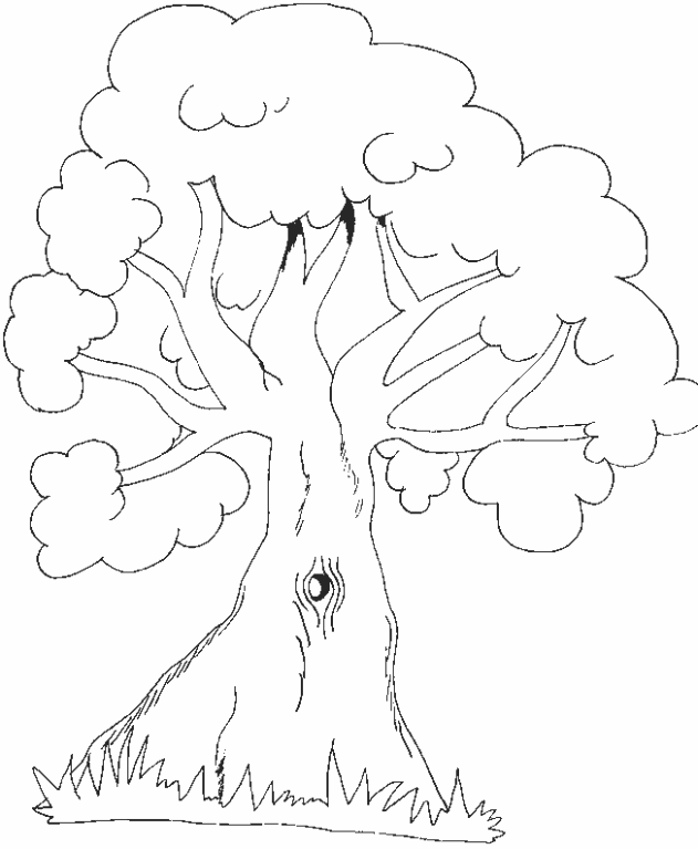 [arboles6[3].gif]