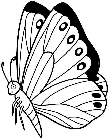 [jyc mariposas (7)[2].jpg]