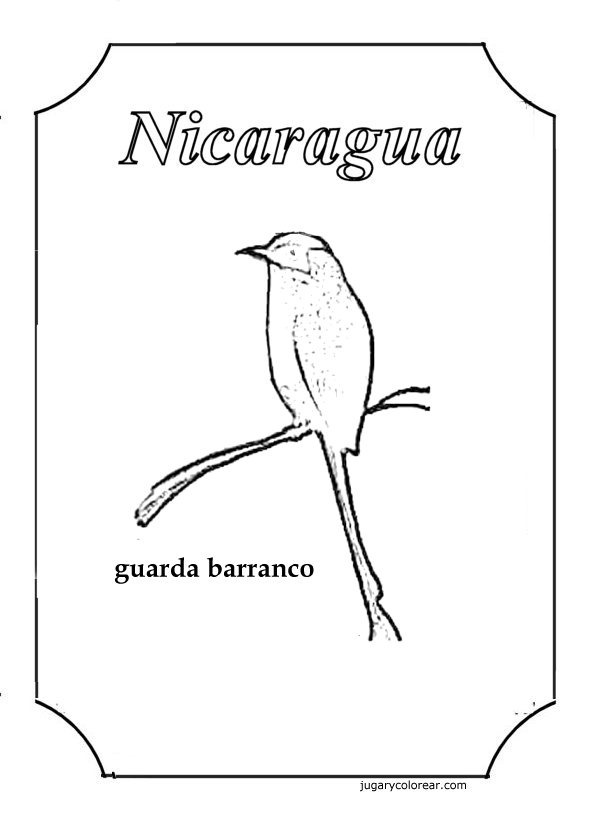 [guardabarranco 2 1[2].jpg]