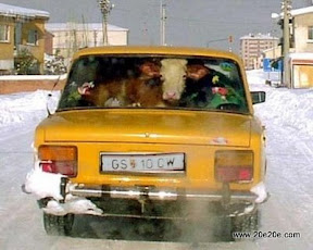 رانندگان دیوانه وار 