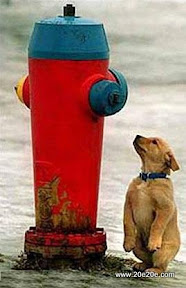 عکسهای خنده دار و بانمک عکسهای خنده دار و بانمک