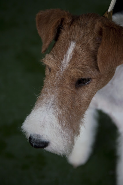 DSC_6794.jpg