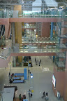 P1010733.JPG