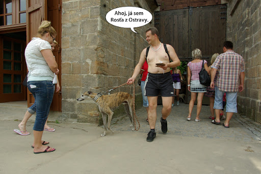 Obrázek