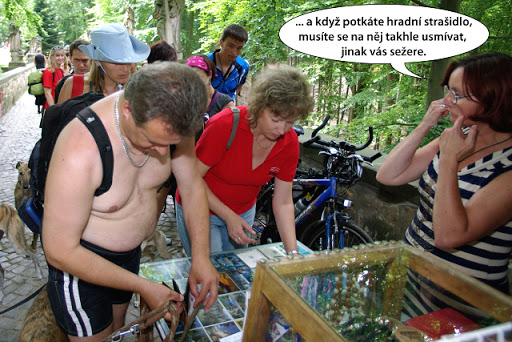 Obrázek
