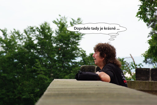 Obrázek