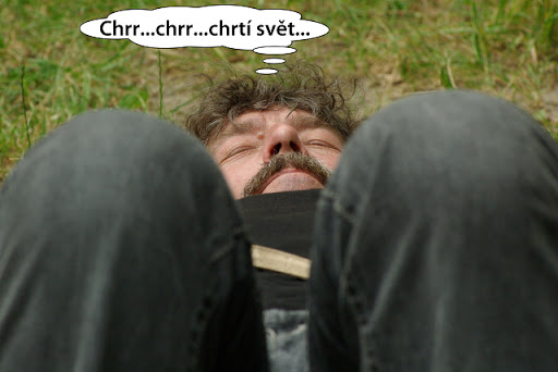 Obrázek