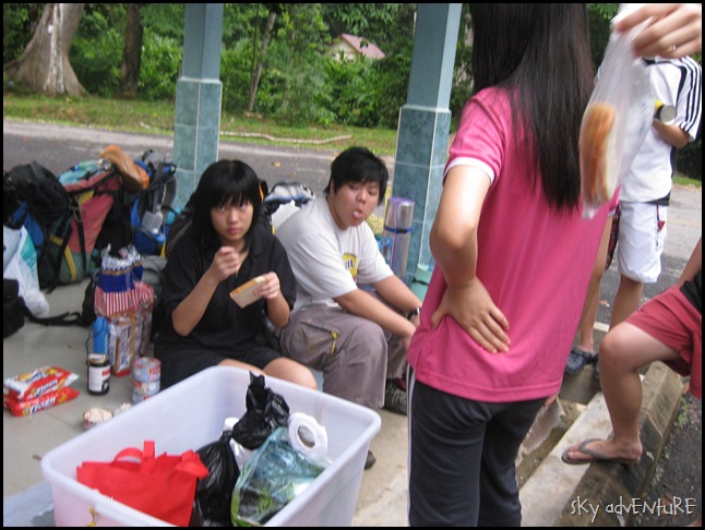 IMG_3387 IMG_3387