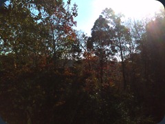 outside 1