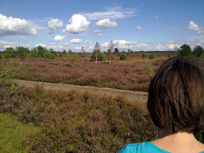 04092010465.jpg