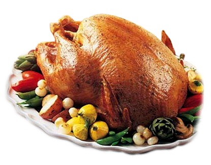 [Turkey2.jpg]