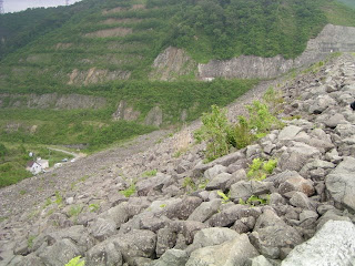 天端より下流側堤体を望む