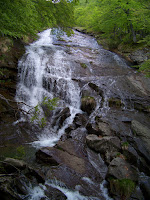 100_7236.JPG Photo