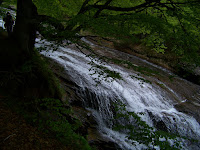 100_7238.JPG Photo