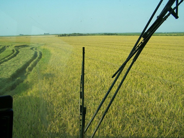[Combine 4[3].jpg]