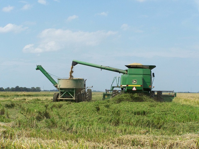 [Combine 4[3].jpg]