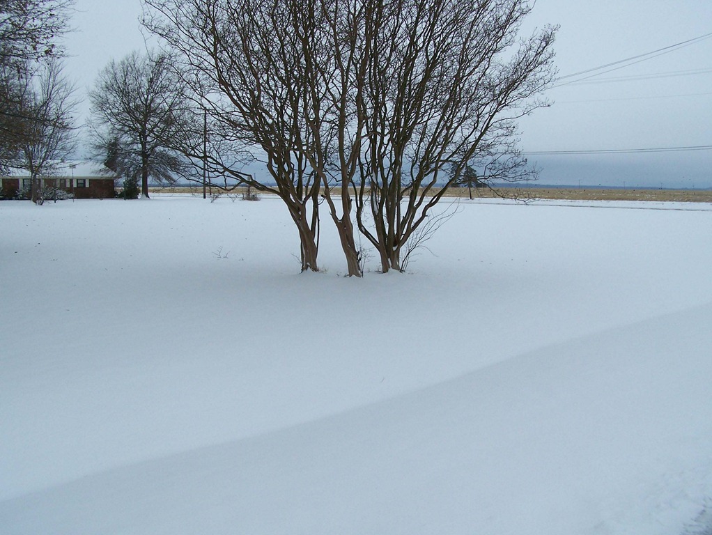 [Snow scenes 1[6].jpg]