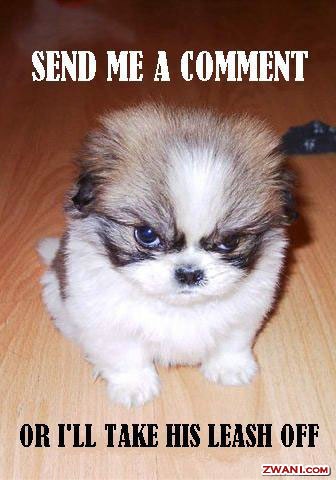 [6comment-me[2].jpg]