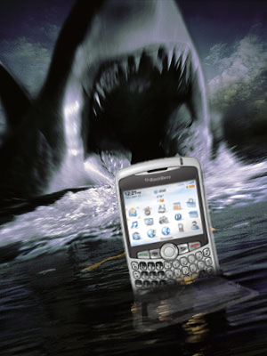 [BlackBerry_Sharks[3].png]