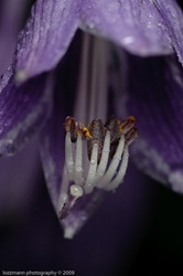 LT3_09734 LT3_09734