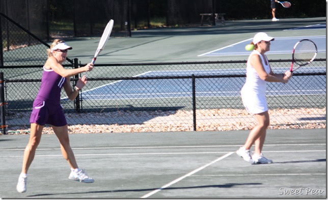 IMG_2950 IMG_2950