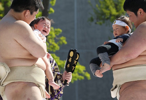 naki-sumo (11) naki-sumo (11)