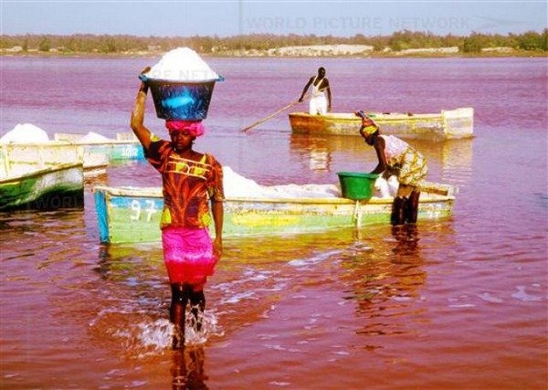 البحيره الورديه في السنغال Pinklakeretba92