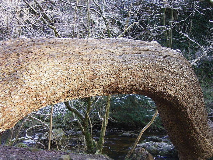 money-trees (2) money-trees (2)