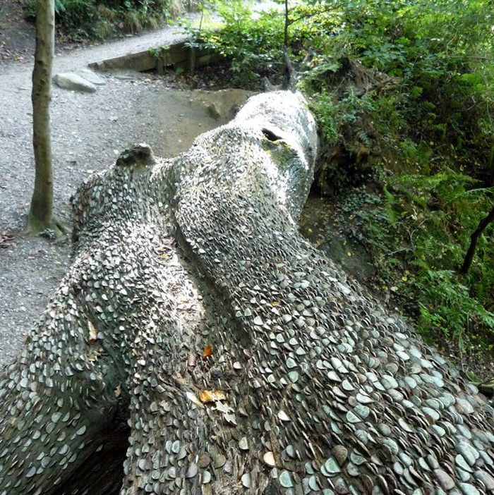 money-trees (8) money-trees (8)