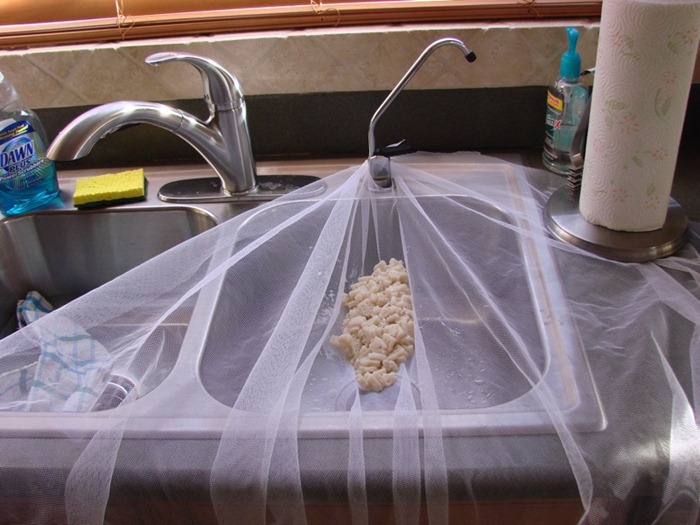 pasta-strainer pasta-strainer