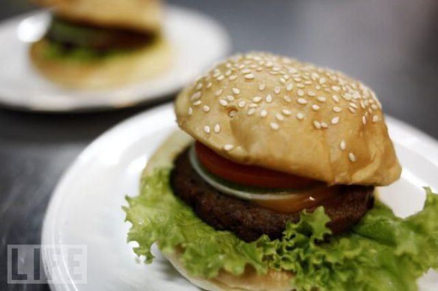 snake-burger (1) snake-burger (1)