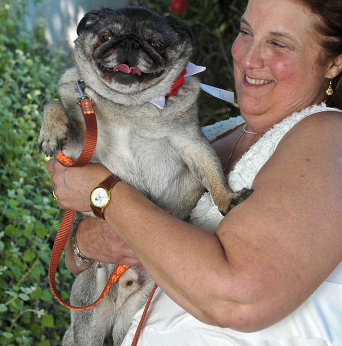 ugliest-dog (11) ugliest-dog (11)