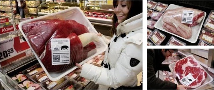 dinosaur-meat (2) dinosaur-meat (2)