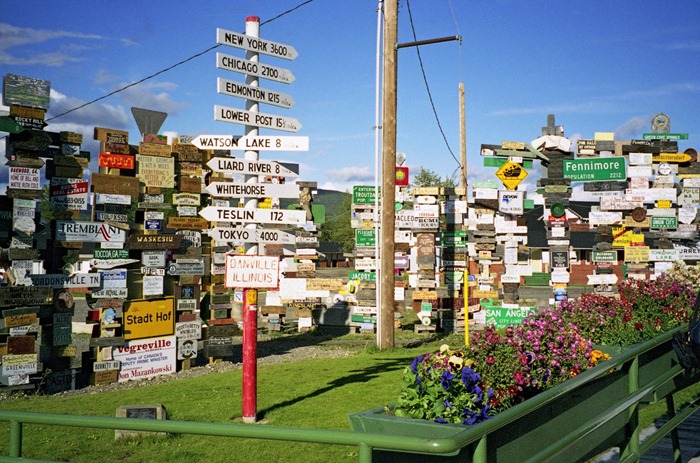 sign-post-forrest (3)