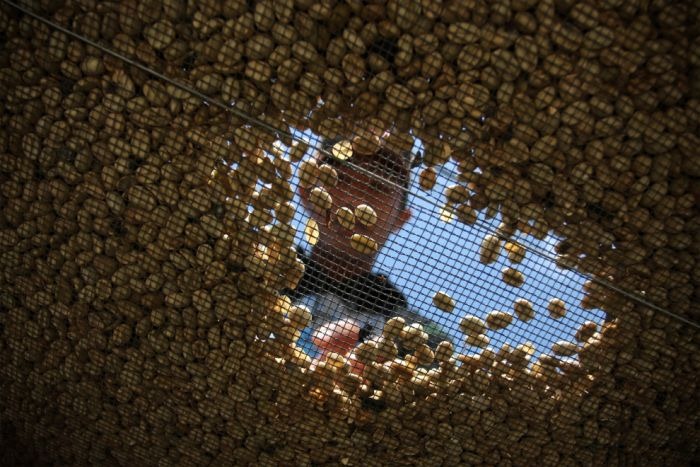 worlds_most_expensive_coffee_08 worlds_most_expensive_coffee_08
