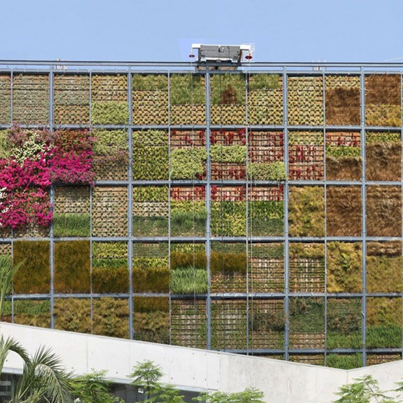 Vertical Garden in San Vicente