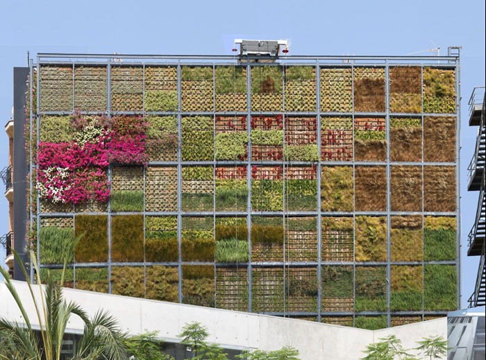 vertical-garden (4) vertical-garden (4)