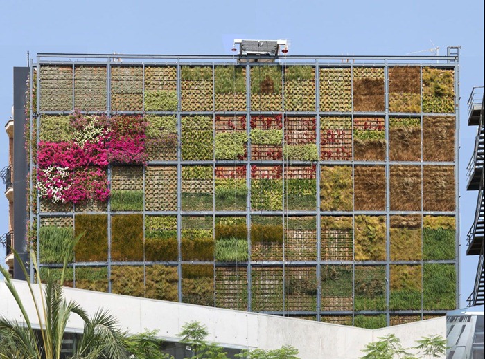 vertical-garden (4)