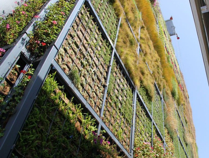 vertical-garden (2) vertical-garden (2)