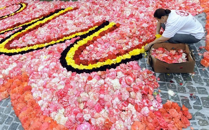 brussels-flower-carpet (2) brussels-flower-carpet (2)