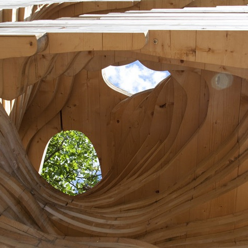 The Termite Pavilion: View Inside a Termite Mound