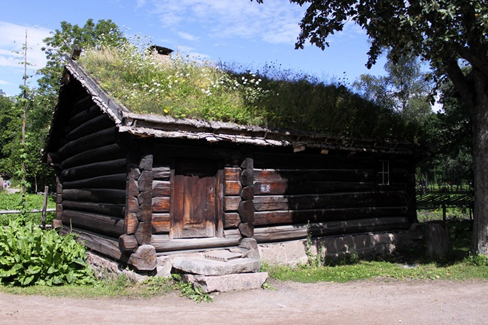 green-roof-norway (5)